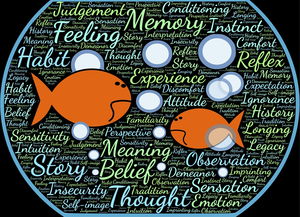 星空·综合体育-法甲实际战术板使用率与胜率关系初步调查，法国套战术板