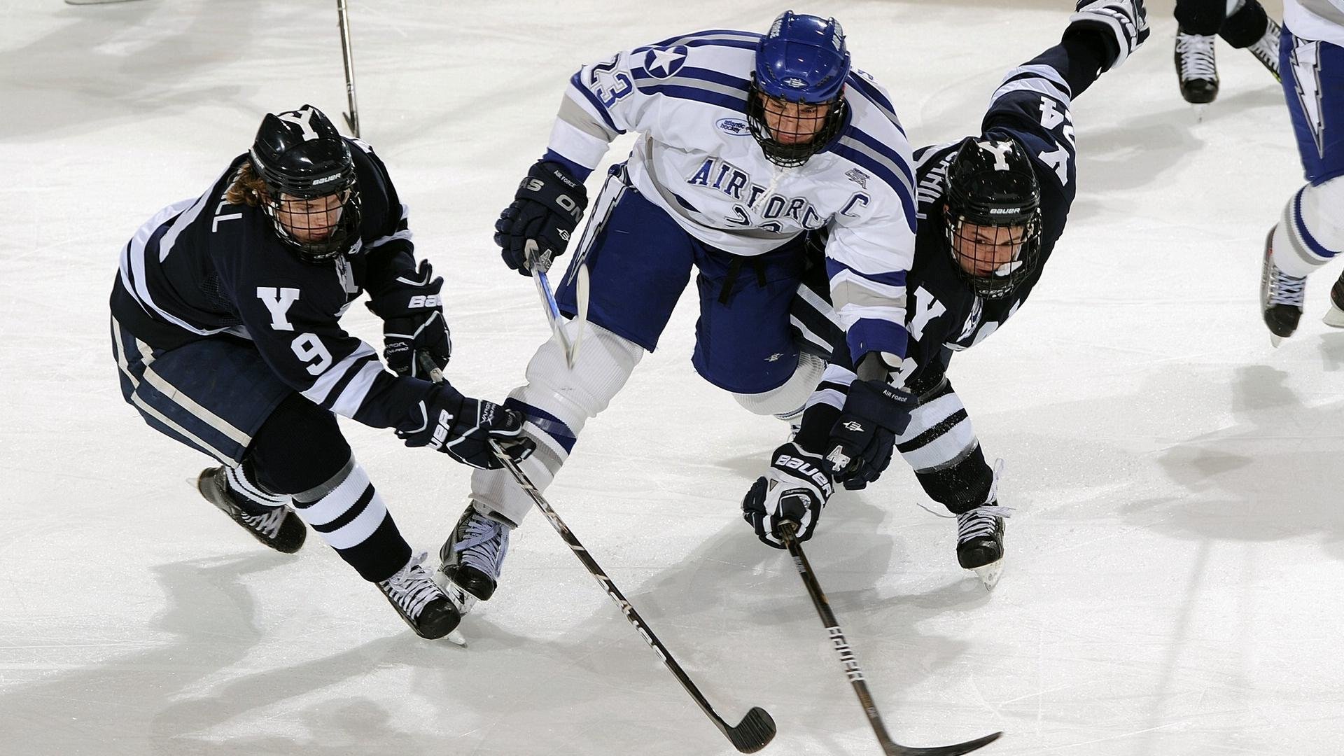 篮球专项技能动作标准化训练方法研究，篮球动作技能理论知识